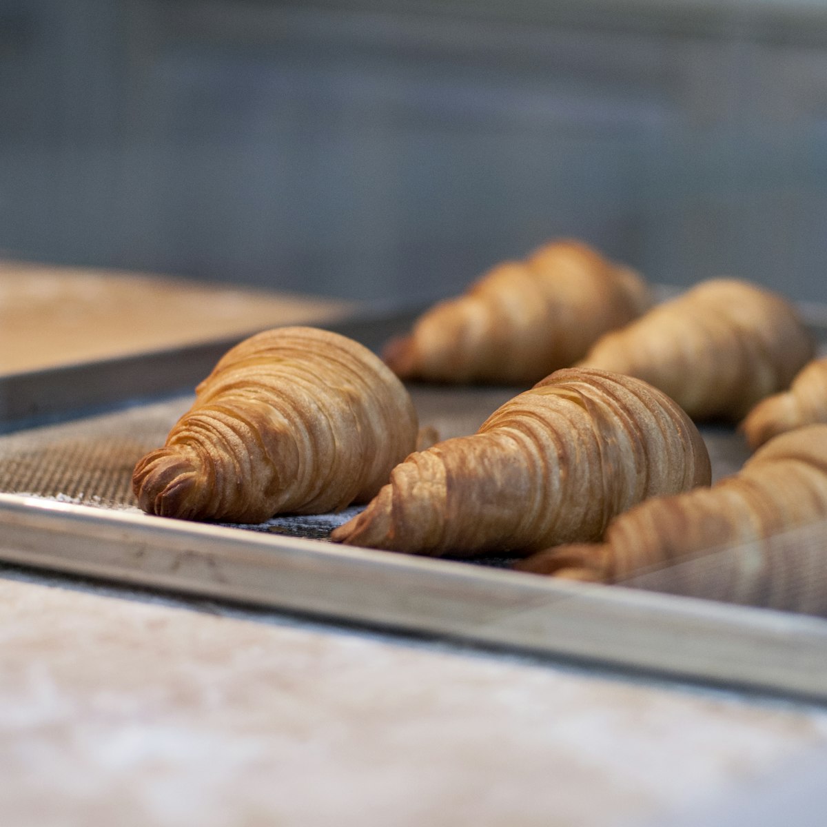 Goudbruine beurre croissants vers uit de oven van De Desemhoek